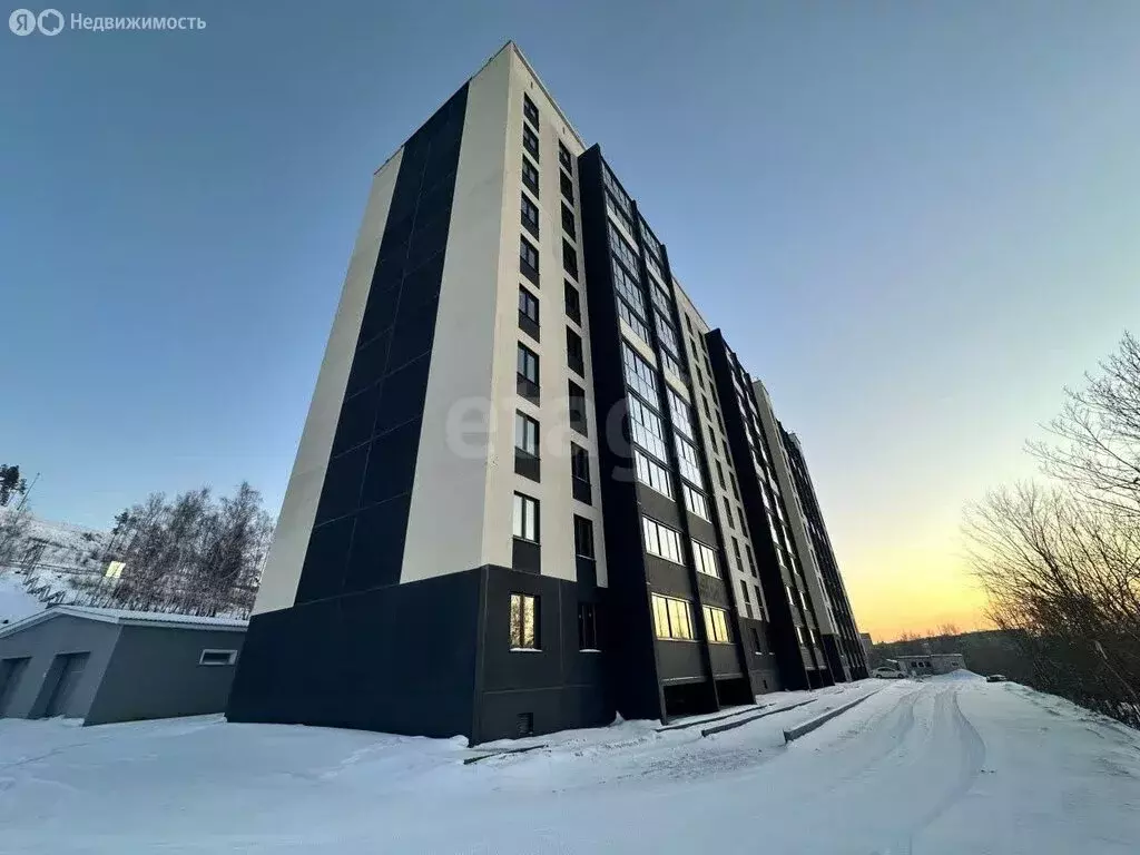 Квартира-студия: Миасс, улица Вернадского, 3 (24.3 м) - Фото 2