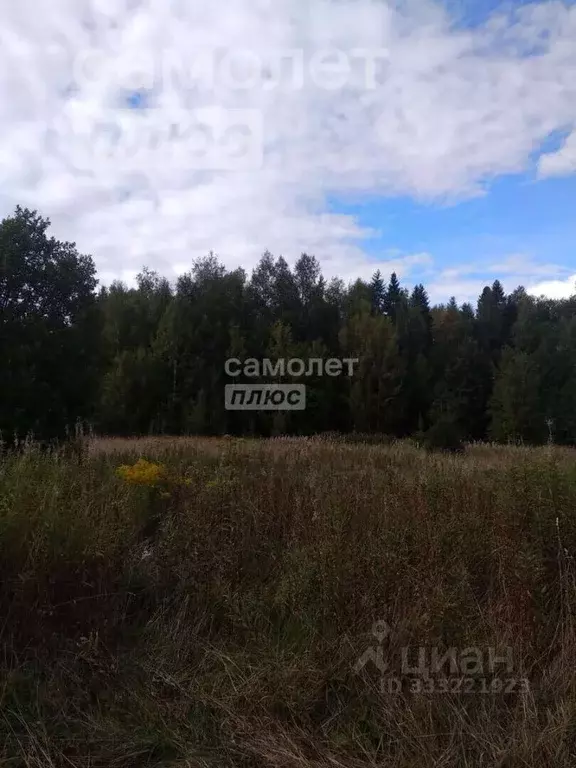 Участок в Вологодская область, Радужное ТСН ул. Розовая (14.0 сот.) - Фото 2