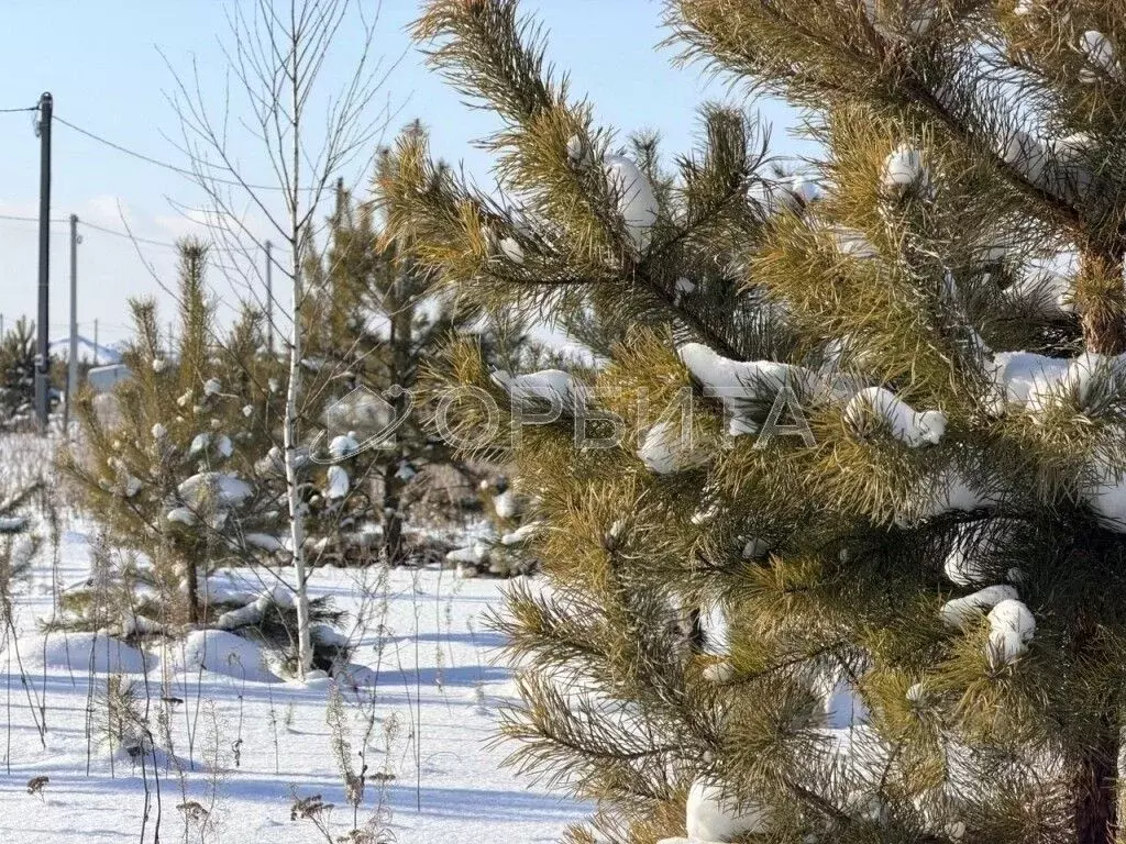 Участок в Тюменская область, Тюменский муниципальный округ, д. Елань ... - Фото 1