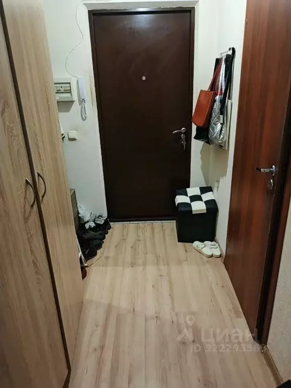 Студия Ленинградская область, Мурино Всеволожский район, аллея ... - Фото 0