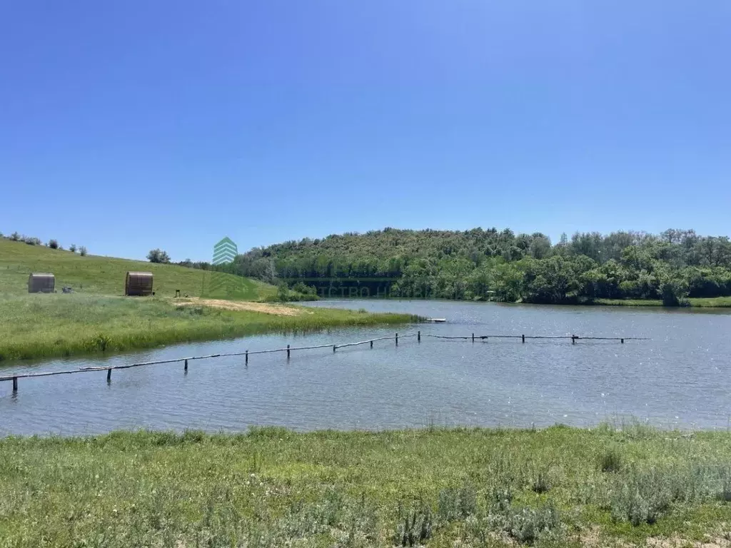 Участок в Саратовская область, с. Курдюм ул. Международная (1000.0 ... - Фото 1