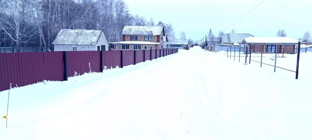 Участок в Новосибирская область, Новосибирский район, Ярковский ... - Фото 2