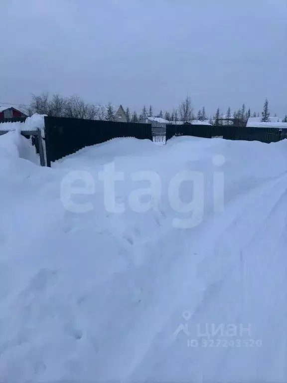 Участок в Ямало-Ненецкий АО, Новый Уренгой Титан ДНТ, 25 (6.0 сот.) - Фото 1