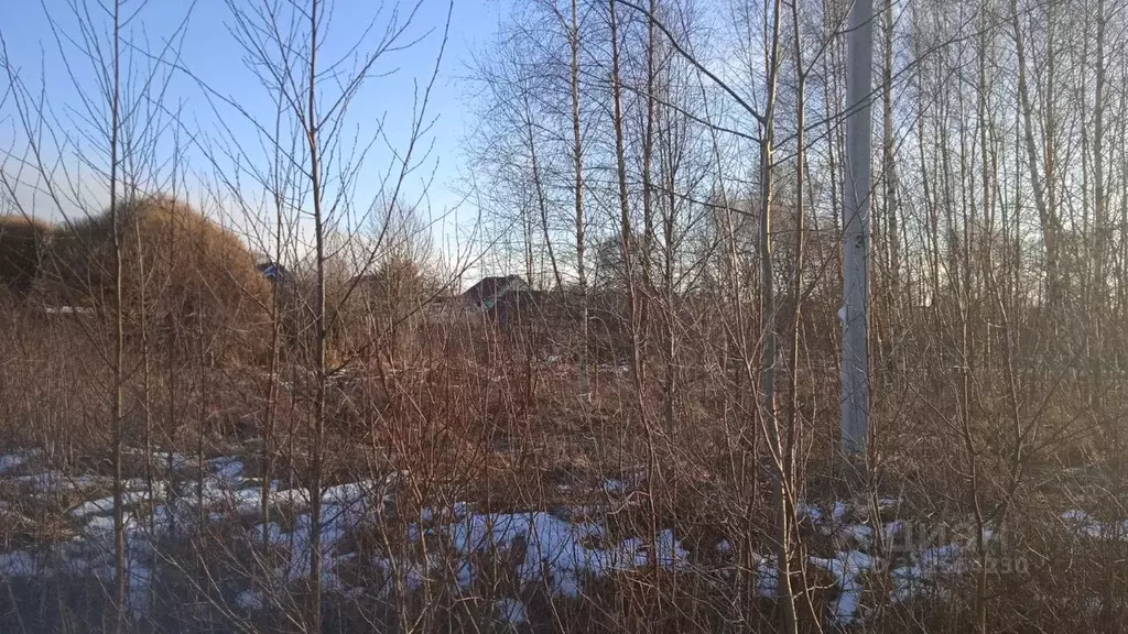 Участок в Новгородская область, Новгородский район, Бронницкое с/пос, ... - Фото 1