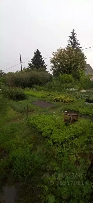 Участок в Омская область, Омск СОСН Рябинка тер.,  (6.3 сот.) - Фото 1