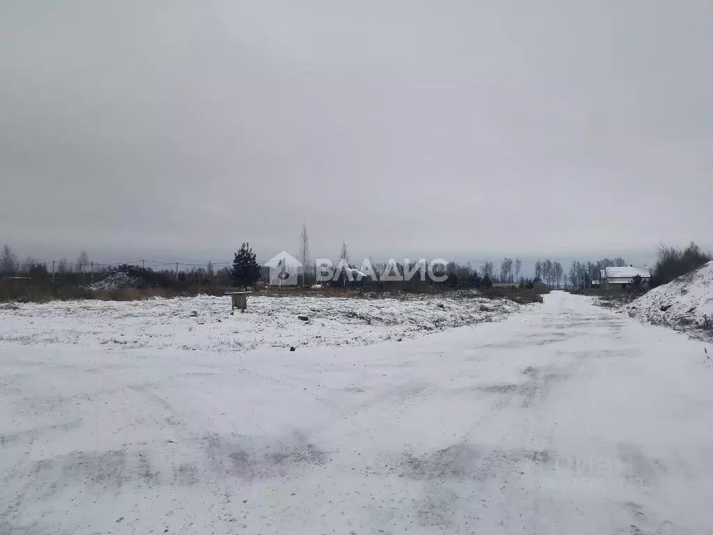 Участок в Нижегородская область, с. Безводное ул. Научная, 79 (10.0 ... - Фото 2