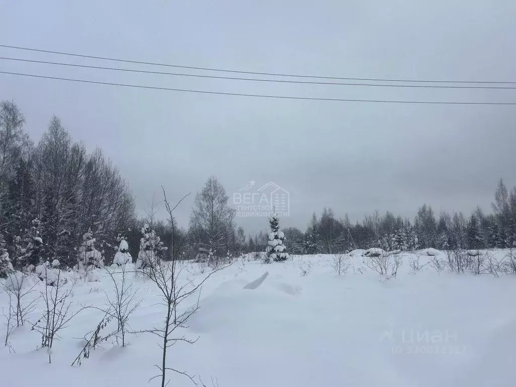 Участок, 6 сот., сельхоз (снт или днп) - Фото 2