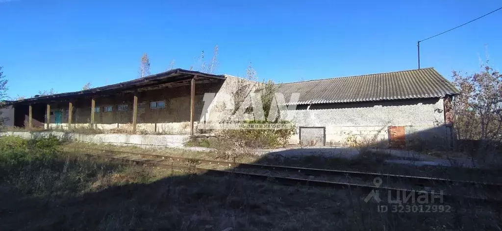 Склад в Челябинская область, с. Аргаяш ул. Карла Маркса, 41 (1201 м) - Фото 1