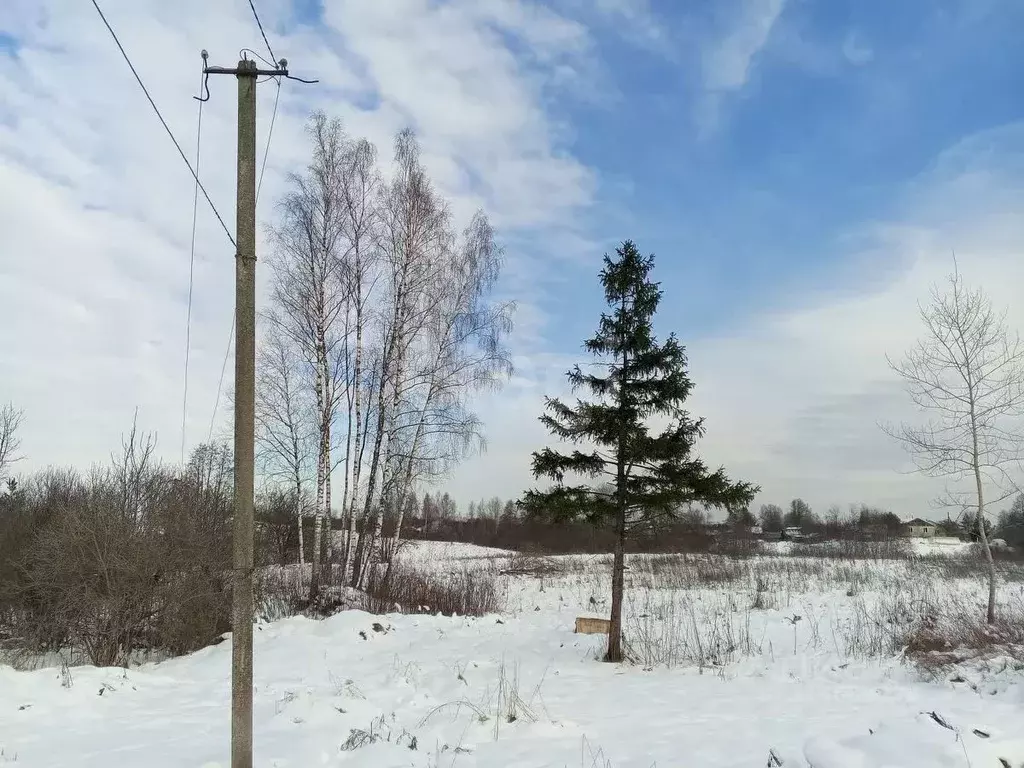 Участок в Псковская область, Островский район, Воронцовская волость, ... - Фото 0