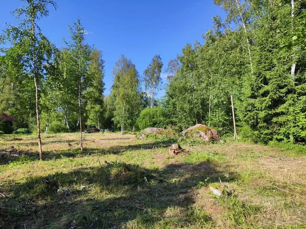 Участок в Ленинградская область, Выборгский район, Советское городское ... - Фото 0