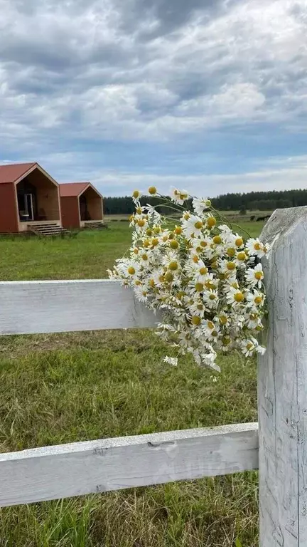 Участок в Московская область, Сергиево-Посадский городской округ, Нива ... - Фото 1