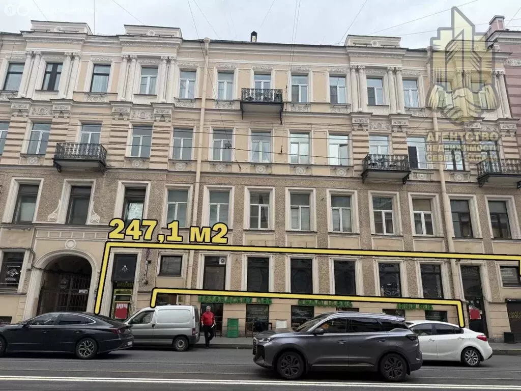 Помещение свободного назначения (247.1 м) - Фото 1
