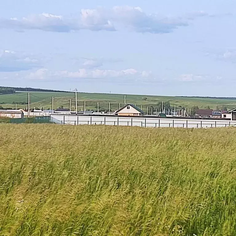 Участок в Мордовия, Лямбирский район, Берсеневское с/пос, д. Старая ... - Фото 2