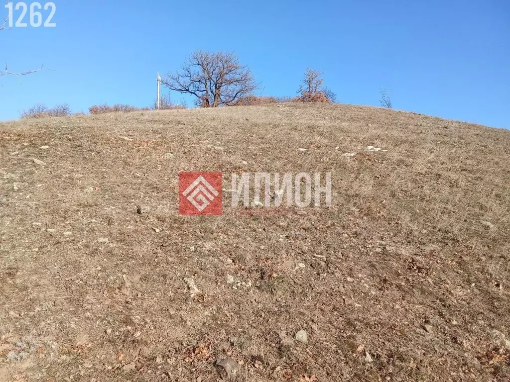 Участок в Крым, Алушта муниципальный округ, с. Приветное ул. Горького, ... - Фото 2