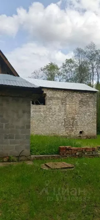 Участок в Псковская область, Печорский муниципальный округ, д. Тайлово ... - Фото 1