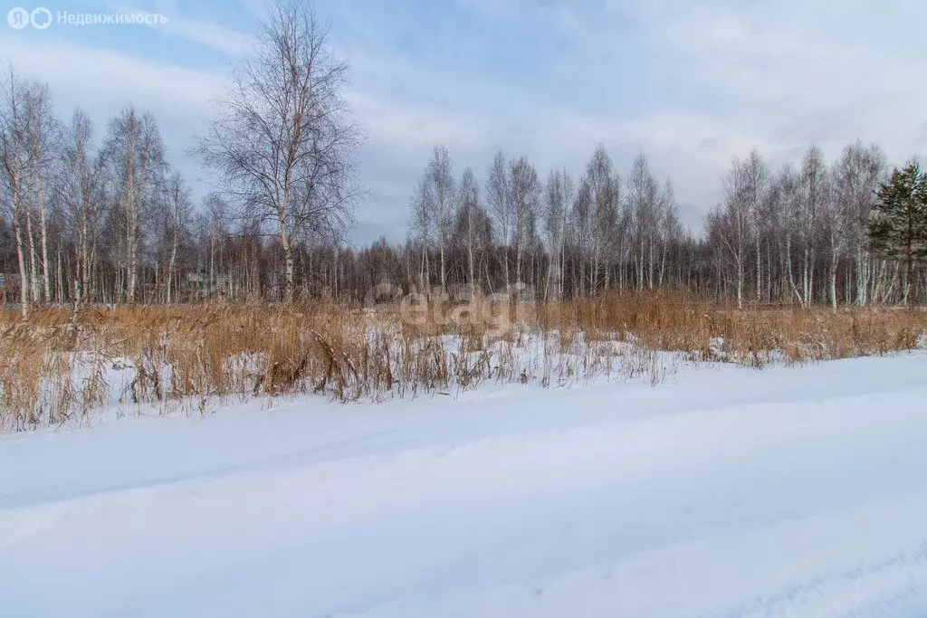 Участок в Тюневское сельское поселение, ДНТ Приозерное, Солнечная ... - Фото 1