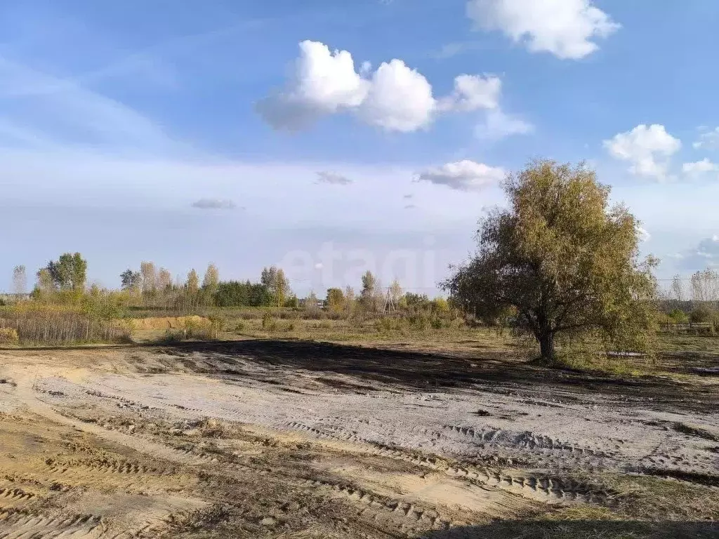 Участок в Тюменская область, Тюменский муниципальный округ, ... - Фото 1