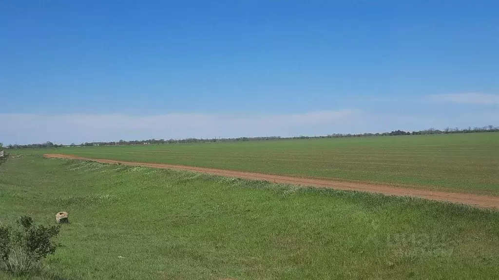 Участок в Крым, Сакский район, с. Кольцово ул. Новые Черемушки (92.69 ... - Фото 2
