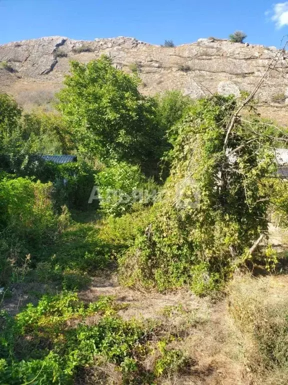 Дом в Ростовская область, Белая Калитва БКМПО-2 садоводческое ... - Фото 1