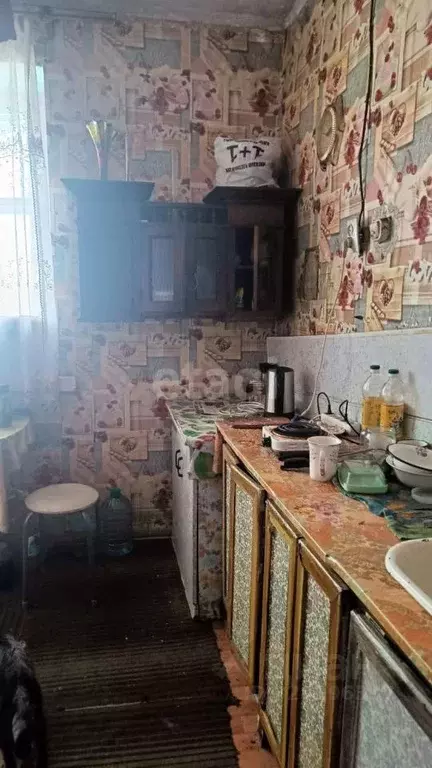 Дом в Амурская область, с. Ивановка ул. Северная, 19 (33 м) - Фото 1