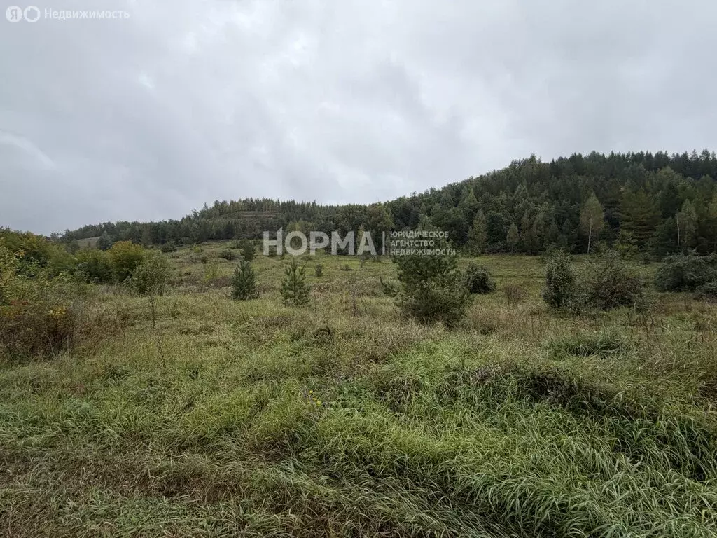 Участок в село Новое Барятино, Солнечная улица, 38 (10 м) - Фото 2