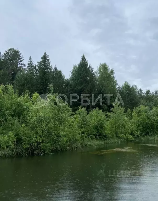 Дом в Тюменская область, Нижнетавдинский район, с. Тюнево  (82 м) - Фото 1