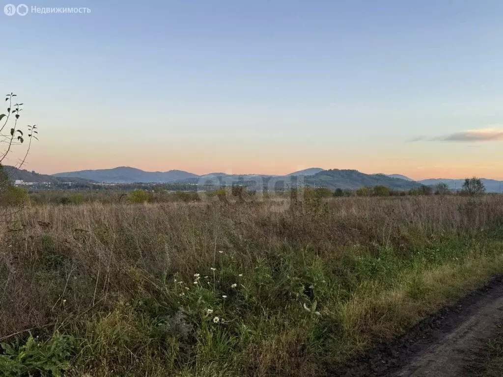 Участок в Алтайский район, Айский сельсовет, село Ая (6 м) - Фото 0