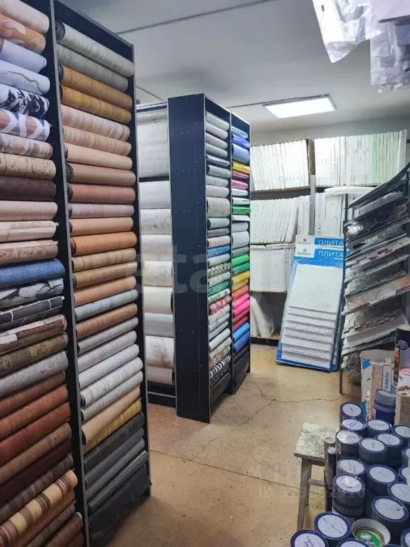 Помещение свободного назначения в Кемеровская область, Таштагол ул. ... - Фото 2