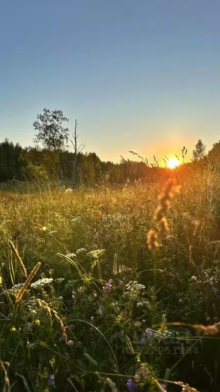 Участок в Новосибирская область, Новосибирский район, Каменский ... - Фото 2
