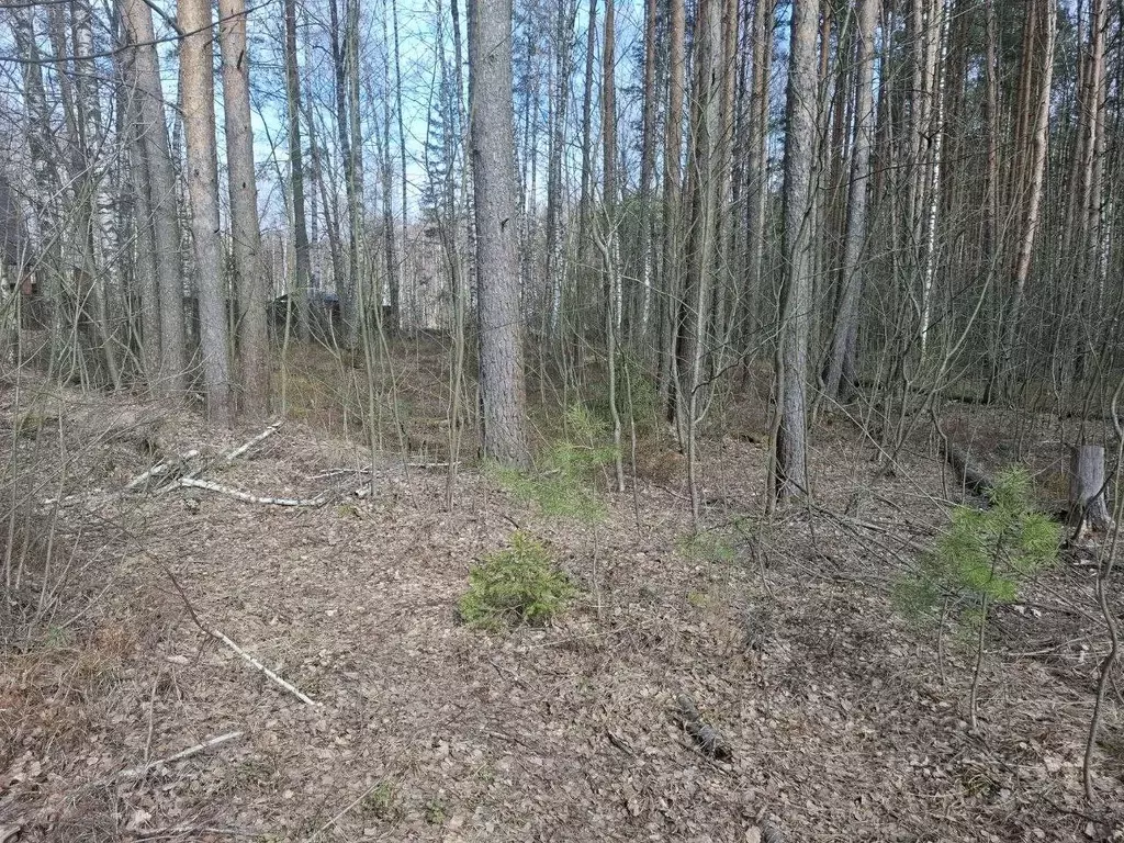 Участок в Московская область, Дубна  (10.0 сот.) - Фото 0