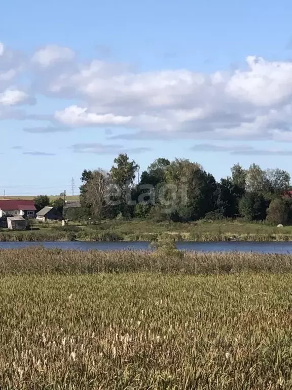 Участок в Брянская область, Брянский район, Глинищевское с/пос, д. ... - Фото 1