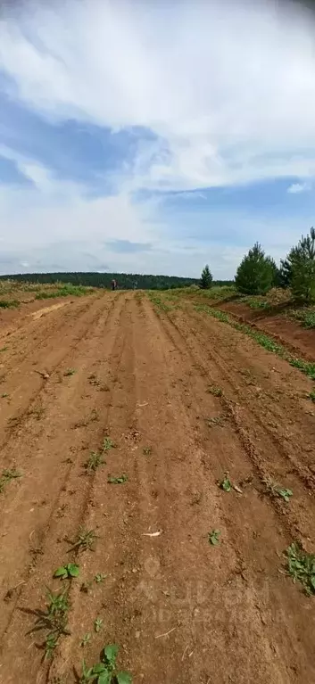 Участок в Иркутская область, Иркутский муниципальный округ, д. Карлук  ... - Фото 1