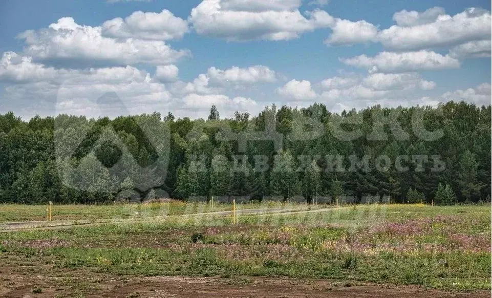 Участок в Тюменская область, Тюменский муниципальный округ, с. Кулига  ... - Фото 2