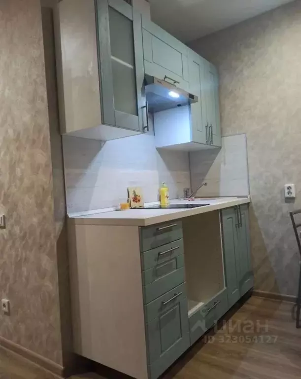 Студия Рязанская область, Рязанский муниципальный округ, с. Дядьково ... - Фото 2