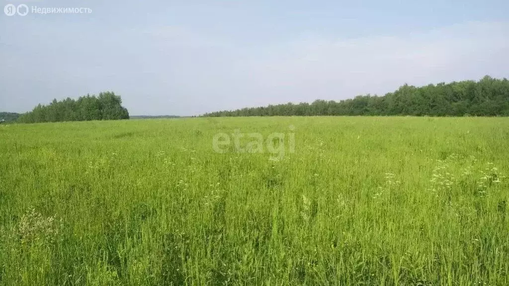 Участок в Краснодар, Прикубанский внутригородской округ, микрорайон ... - Фото 1