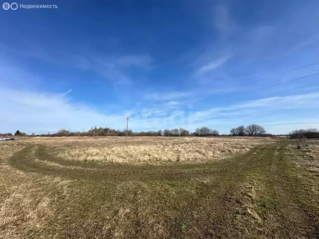 Участок в Калининградская область, Полесский муниципальный округ, ... - Фото 1