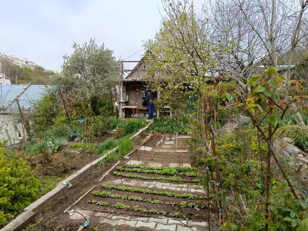Дом в Севастополь Тополек садовое товарищество, 10 (40 м) - Фото 2