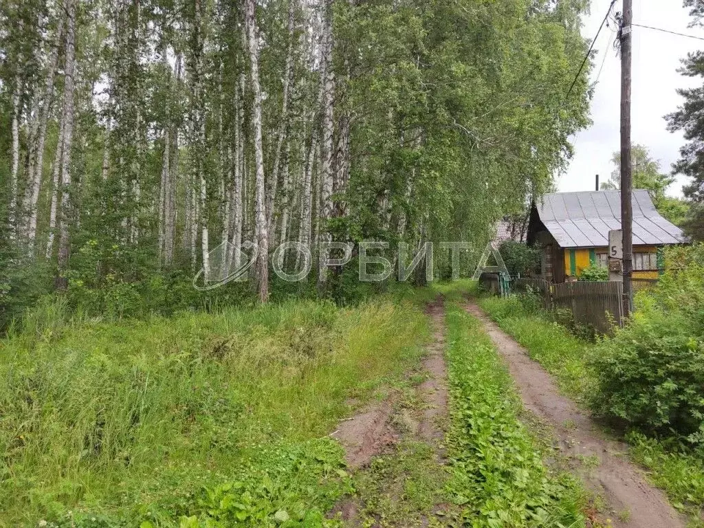 Участок в Тюменская область, Тюменский район, Искатель садовое ... - Фото 1