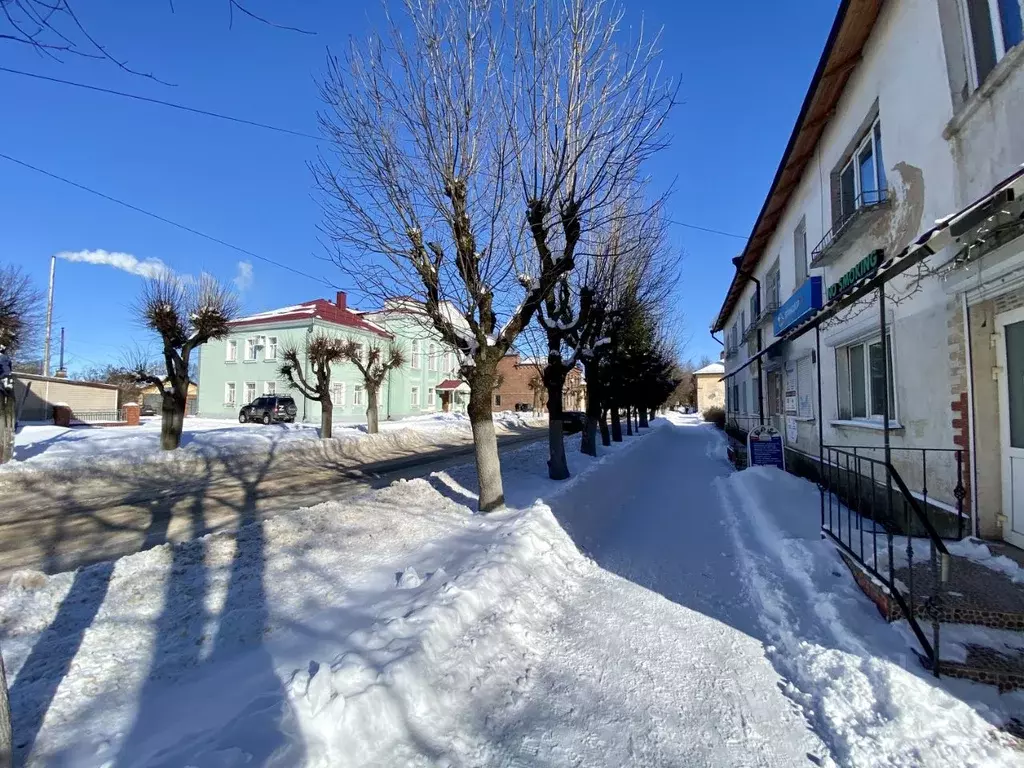 2-к кв. Псковская область, Гдов ул. Карла Маркса, 20 (42.0 м) - Фото 2