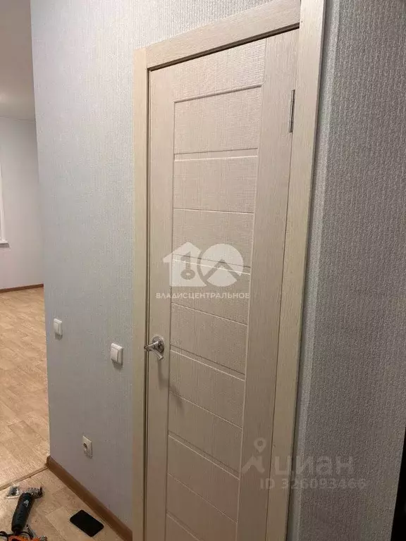 Студия Новосибирская область, Бердск Черемушная ул., 53к1 (24.0 м) - Фото 1