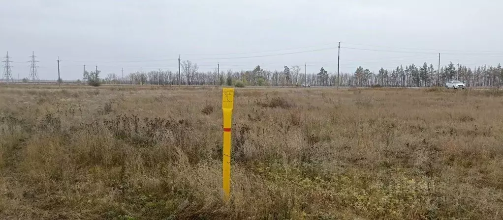 Участок в Оренбургская область, Оренбургский район, с. Дедуровка  (1.0 ... - Фото 0