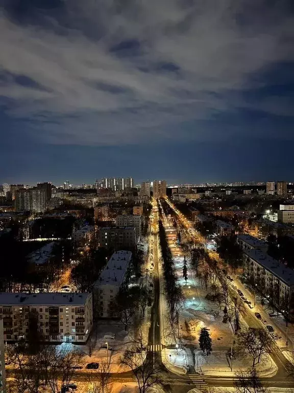 2-к кв. Москва бул. Маршала Рокоссовского, 6к1 (65.0 м) - Фото 1