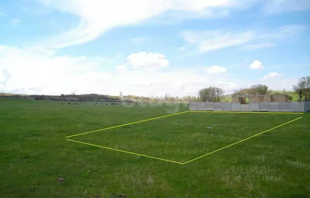 Участок в Ярославская область, Ярославский муниципальный округ, д. ... - Фото 2