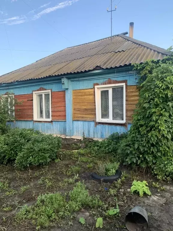 Дом в Алтайский край, Топчихинский район, с. Топчиха Пушкинская ул., ... - Фото 2
