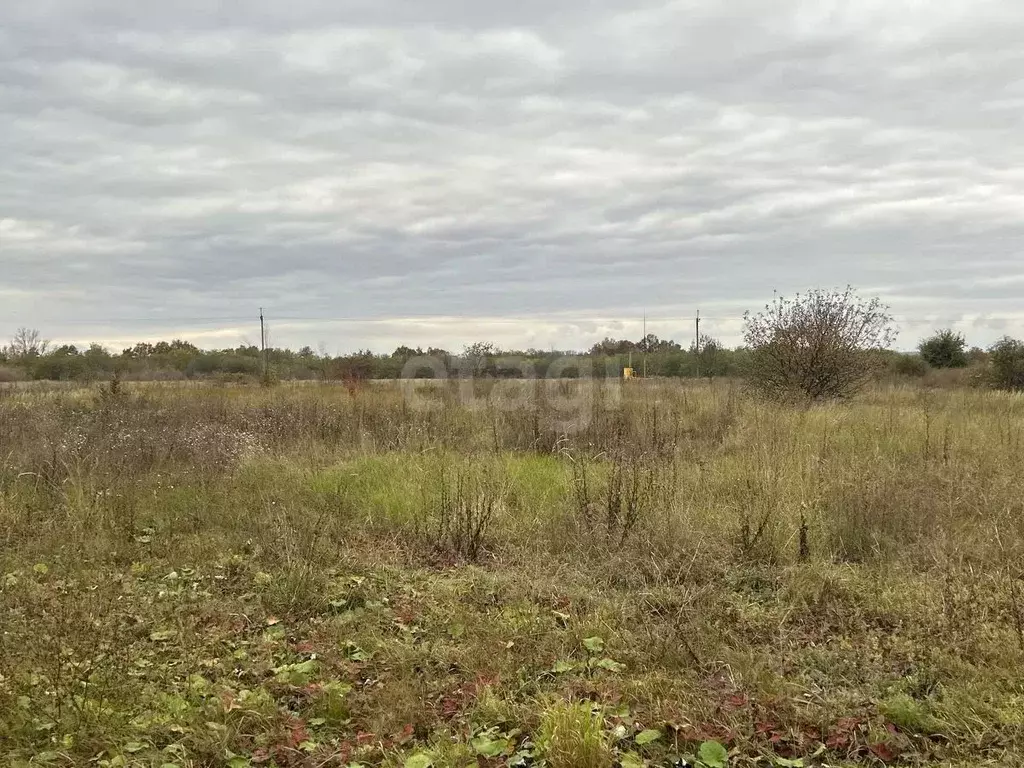 Участок в Белгородская область, Белгородский район, Беломестненское ... - Фото 1