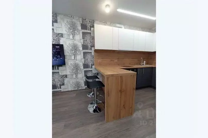 2-к кв. Татарстан, Набережные Челны ул. Раскольникова, 11Б (42.0 м) - Фото 2