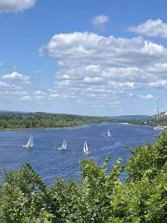 Участок в Самарская область, Самара Здоровье СТ, 27 (10.0 сот.) - Фото 2