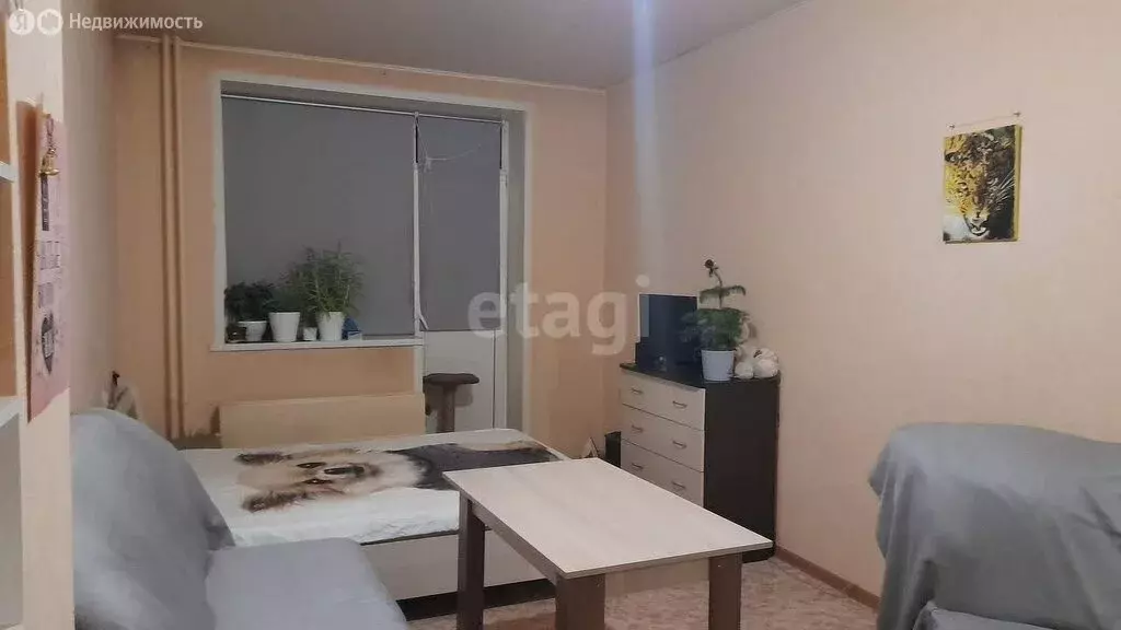 Квартира-студия: Бийск, Социалистическая улица, 22 (28.2 м) - Фото 0