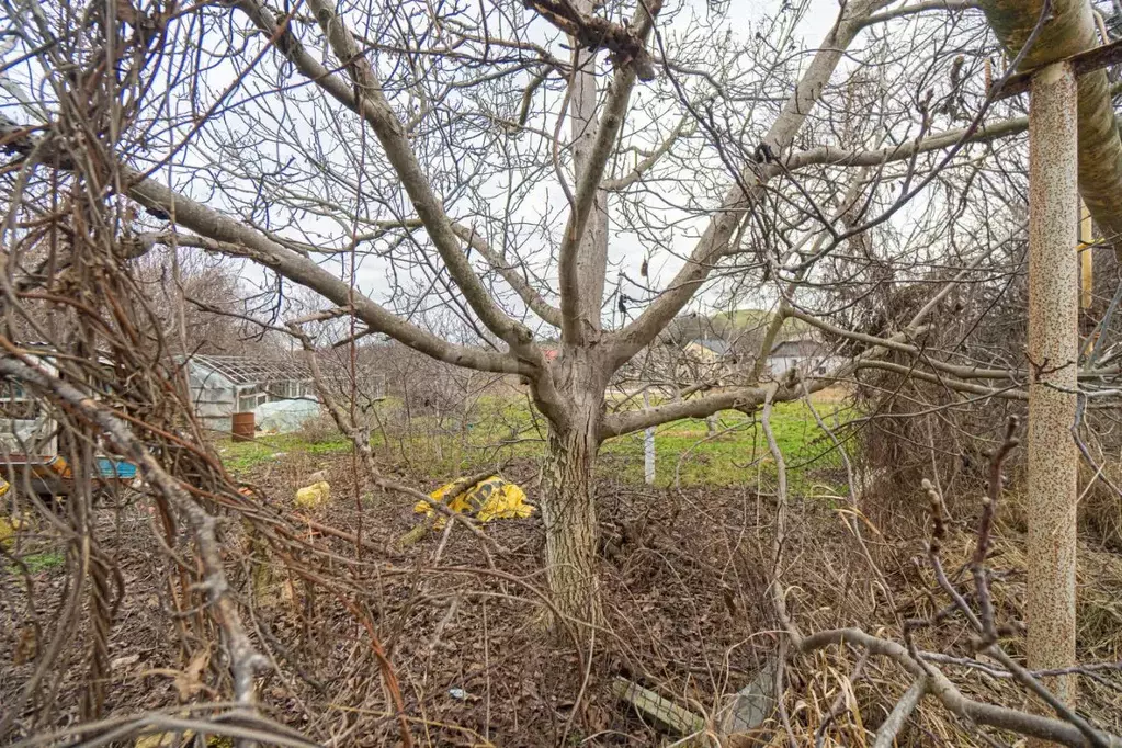 Участок в Севастополь с. Вишневое, ул. Качинская, 53 (6.9 сот.) - Фото 1