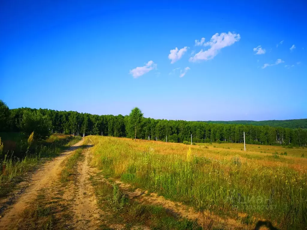 Участок в Калужская область, Ферзиковский муниципальный округ, д. ... - Фото 1